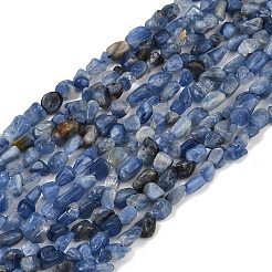Natürliche kyanite Perlen Stränge&nbsp;G-Q060-D17