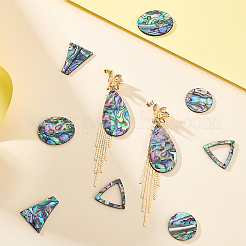 10 Stück 5 Stile natürliche Paua-Muschel-Cabochons&nbsp;FIND-GA0004-93