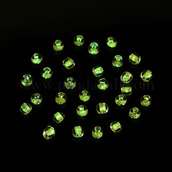 Perline di vetro trasparenti e luminose che brillano al buio&nbsp;SEED-YWC0001-01G