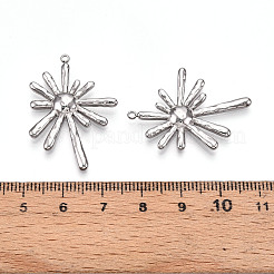Anhänger aus Edelstahl 304&nbsp;STAS-T064-62P