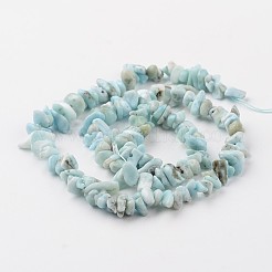 Chip natürliche larimar Perlenstränge&nbsp;G-M349-09