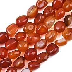 Chapelets de perles en cornaline naturelle&nbsp;GG-CBA787B-A40