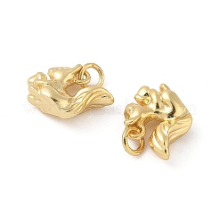 Pendentifs en laiton&nbsp;KK-L245-03G-02
