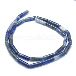Natur Sodalith Perlen Stränge&nbsp;G-F631-D16
