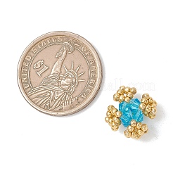 Perles de verre transparentes&nbsp;PALLOY-MZ01244-03