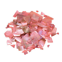 Fragmento de mica de concha de abulón/paua natural&nbsp;MRMJ-N026-001-A02