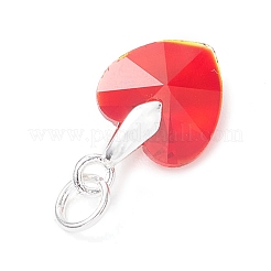 10pcs 10 Farben Glasanhänger&nbsp;PALLOY-JF04543