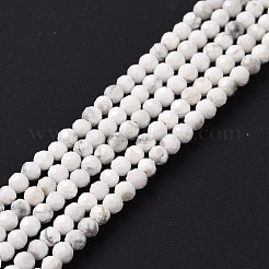 Natürliche Howlith Perlen Stränge&nbsp;G-H273-02A