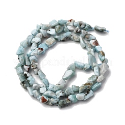 Larimar Naturperlen Stränge&nbsp;G-I389-A18