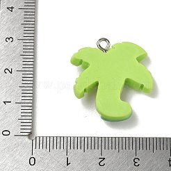 Pendentifs en résine opaque&nbsp;RE-CBAB589-01A-01