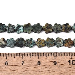 Hebras de cuentas de turquesa africana natural (jaspe)&nbsp;LS-G-N257-24A-05
