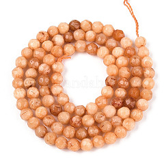 Chapelets de perles en jade blanc naturel teinté&nbsp;G-T139-4mm-60-06
