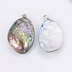 Abalone Shell / Paua Shell große Anhänger&nbsp;SSHEL-L008-22P