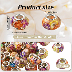 100 Stück Harz mit Polymer Clay im Inneren europäischer Perlen&nbsp;RESI-PA0001-14A