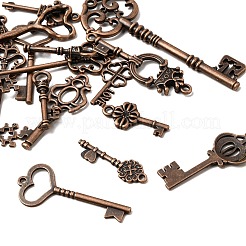 Tibetischer stil Aluminium Anhänger & Charms&nbsp;FIND-D040-01R