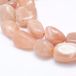 Natürliche sunstone Perlen Stränge&nbsp;G-K203-11B