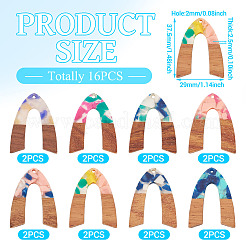 16 pieza de 8 colores de resina y colgantes de nogal.&nbsp;FIND-TA0006-36B