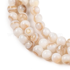 Eau douce naturelle de coquillage perles brins&nbsp;SHEL-T011-02-2mm