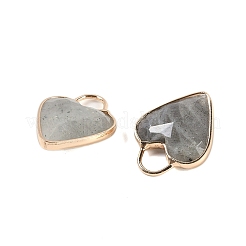 Natürliche Labradorit-Anhänger mit Facettenschliff&nbsp;KK-L218-005G-03