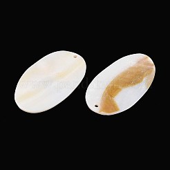 Natürlichen Süßwasser-Shell-große Anhänger&nbsp;SHEL-T020-59