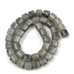 Natur Labradorit Perlen Stränge&nbsp;G-G275-D10-10x10mm