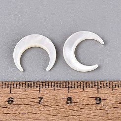 Shell perle bianche naturali&nbsp;SSHEL-T012-07-01