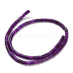 Hilos de abalorios de jade blanco natural&nbsp;G-Z110-A13-2x4mm-02