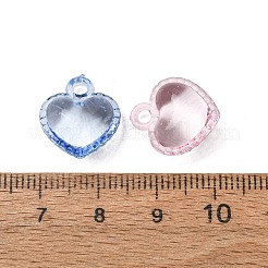 Pendentifs en acrylique transparent &nbsp;AC-CBA53C6-04
