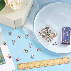 40pcs 4 pendentifs en alliage de couleurs&nbsp;ENAM-SC0003-82