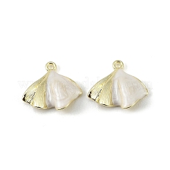 Colgantes de esmalte de aleación&nbsp;FIND-H024-02G