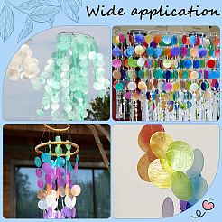 48 breloque connecteur en coquillage capiz naturel 8 couleurs&nbsp;BSHE-SC0001-31