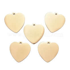 Pendentifs en acier inoxydable 304&nbsp;LS-STAS-I140-10A-G