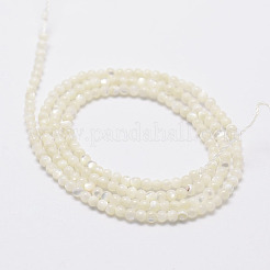 Natürlichen weißen Muschelperlen&nbsp;X-G-N0190-11-2mm