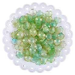 180 bouchons de perles en acrylique.&nbsp;OACR-PA0001-37B