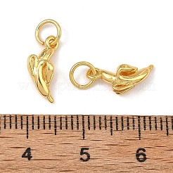 Breloques en laiton&nbsp;KK-F941-42B-G