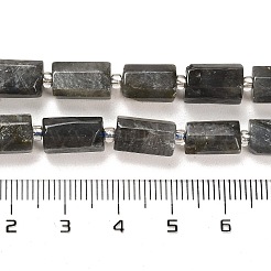 Natürliche Larvikit-Perlenstränge&nbsp;G-G068-A21-01
