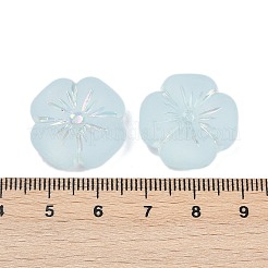 Gefrostet transparent Acrylperlen&nbsp;LS-OACR-P029-19B-06
