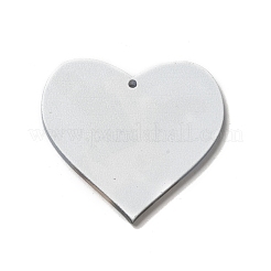 Opake Acryl Anhänger&nbsp;SACR-P020-A02