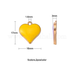 10pcs 5 pendentifs en alliage de couleurs&nbsp;ENAM-YW0002-07