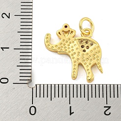 Pendentifs en laiton zircon cubique transparent&nbsp;KK-R159-18G-04
