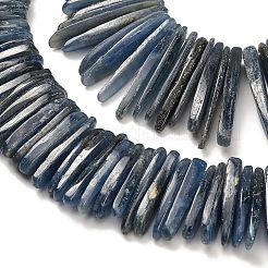 Natürliche kyanite Perlen Stränge&nbsp;G-H335-F01