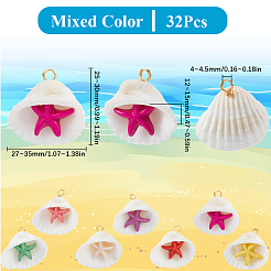 32 Stück Sommer-Strand-Anhänger aus natürlicher Muschel&nbsp;FIND-SC0012-34