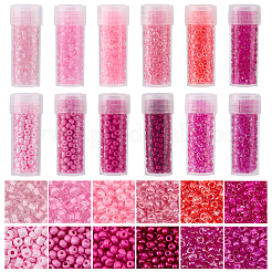 120g 12 Farben Glas Saatperlen&nbsp;SEED-SC0001-59B-02