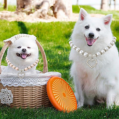 2 collier pour animal de compagnie en perles d'imitation en plastique de 2 couleurs&nbsp;AJEW-CN0003-95
