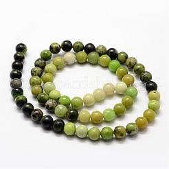 Natur Serpentin Perlen Stränge&nbsp;G-N0170-002-6mm