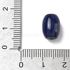 Natürliche Lapislazuli-Perlen&nbsp;G-T149-01C