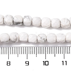 Natürliche Howlith Perlen Stränge&nbsp;G-G001-B02-06