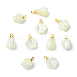 12 stücke 3 arten natürliche shell geschnitzte blume charme&nbsp;KK-CJ0003-83