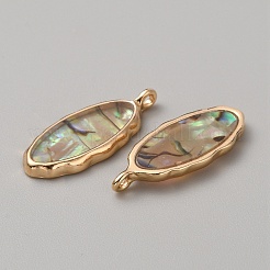 Anhänger aus Paua-Muschel im Abalone-Harzimitat&nbsp;FIND-WH0417-12A
