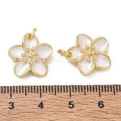 Colgantes de esmalte de latón&nbsp;KK-CBAD9DF-03G-C